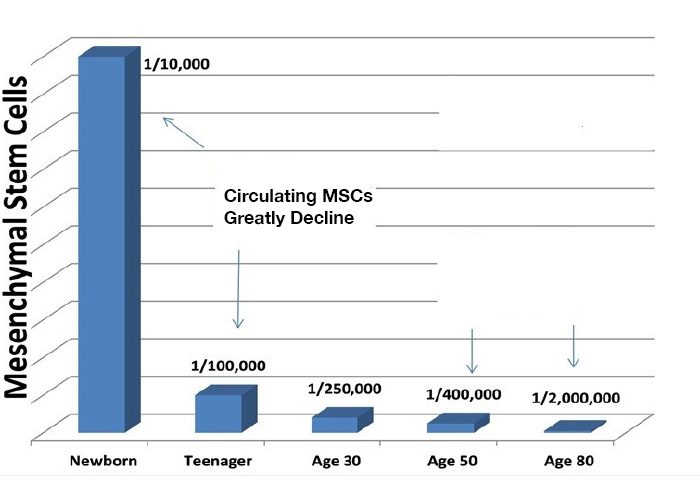 Pure Msc Stem Cell Decline With Age